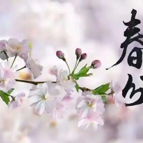 北岭幼儿园小一班开展了“知节气 话春分”活动