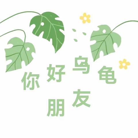 大二班——班本课程《你好，乌龟朋友》