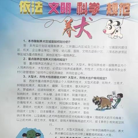 法士特社区“文明养犬”我们在行动