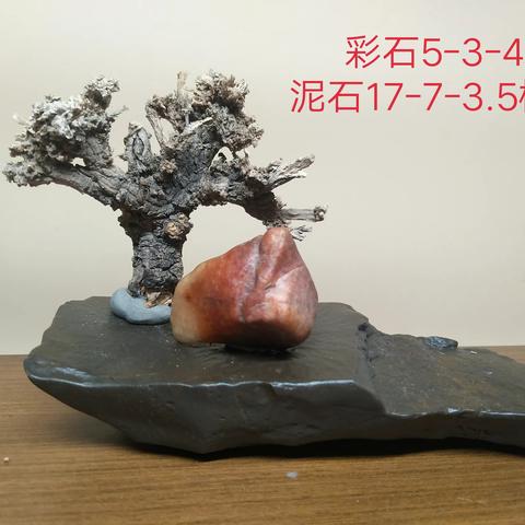 第14期2月 16日21点00分 星期 日 哈密远通戈壁石精品拍卖群第14期拍卖预览】