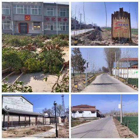 孝敬镇东内都村--创“四美乡村”、绿化先行
