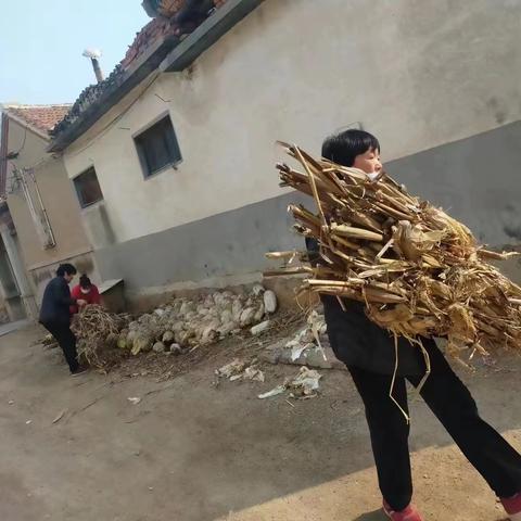 村内卫生大扫除，美了村庄暖了人心