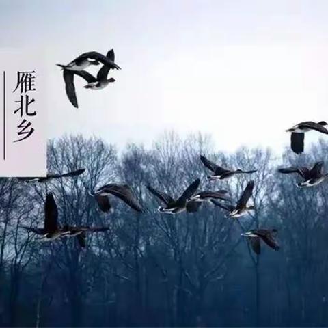 别样小寒 乐暖冬日——利通区第九小学寒假“七个一”红领巾争章实践之节气课程