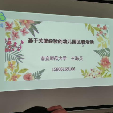 名师引领话区域------茨坝幼全体教师学习王海英教授线上专题讲座实况