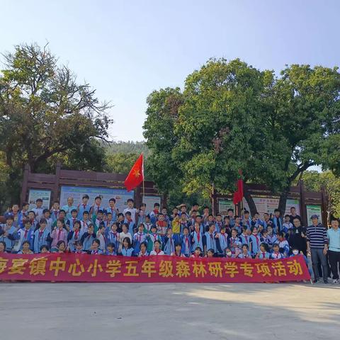 体验劳动的快乐   收获成功的喜悦——海宴镇中心小学参加台山市甫草林场校外劳动研学实践活动