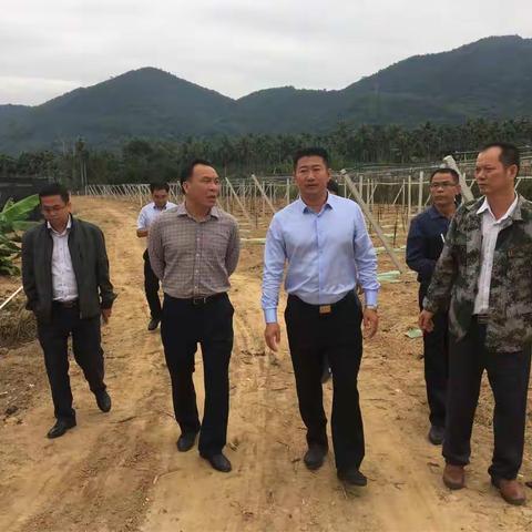 保亭县委王小飞副书记、县政府周洪杰常务副县长一行调研南林乡扶贫工作