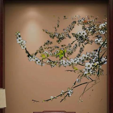 流溪香雪（观梅留影）