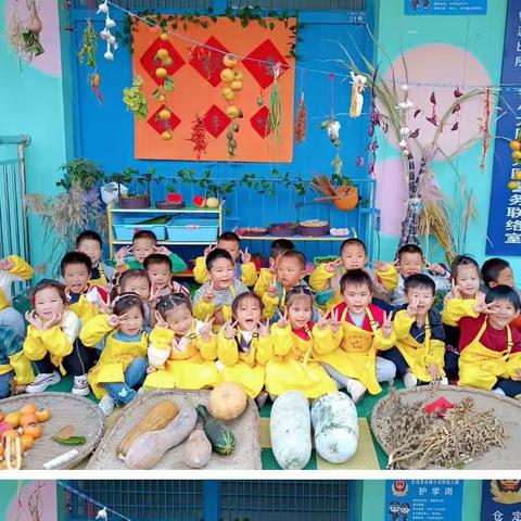 小太阳幼儿园晒秋活动