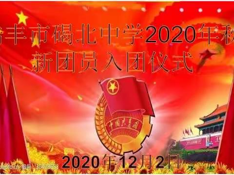 放飞理想  励志青春——陆丰市碣北中学新团员入团宣誓仪式