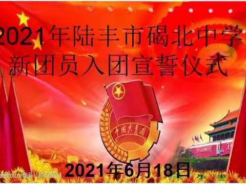 热血奋斗谱青春   激扬向上献党礼——2021年陆丰市碣北中学新团员入团宣誓仪式