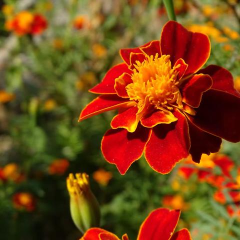 美不美你说了算！