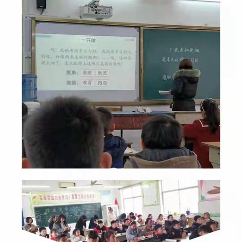 以研促教  共同成长  ——平乐镇太仓小学公开课活动