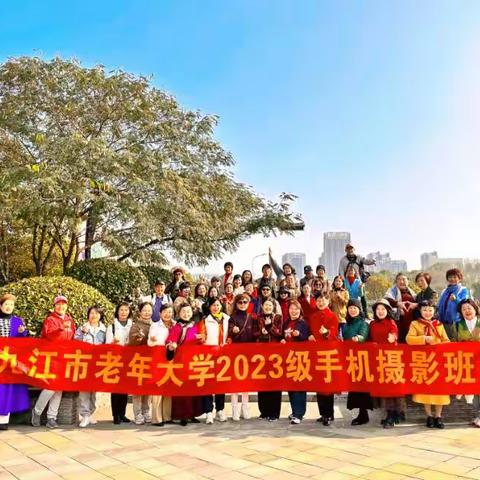 秋尽冬来，枫叶正黄