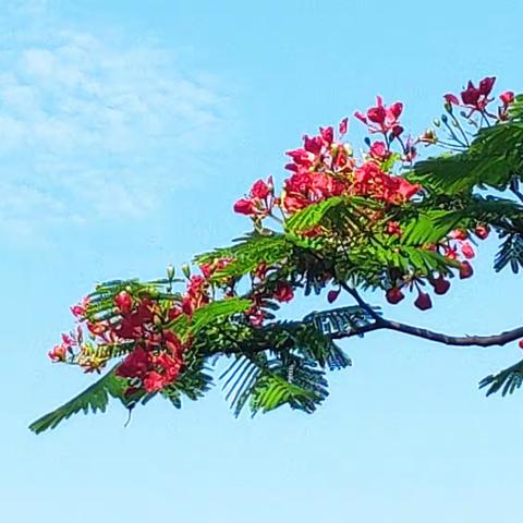 初夏湖边闲暇