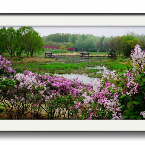 长阳风光美如画