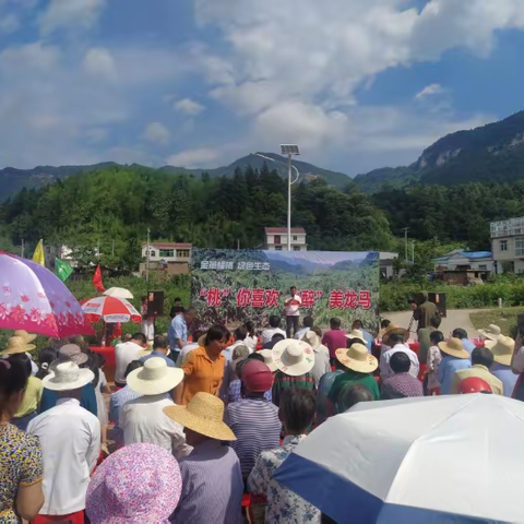 来自乡村振兴中大山里的桃园