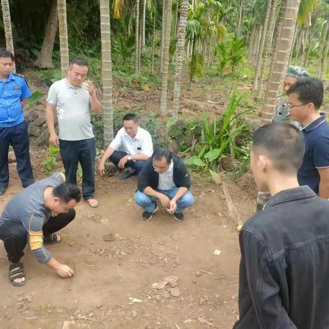 加快项目建设，切实保障民生——岭口镇加快推进群山村委会农村生活污水处理项目建设