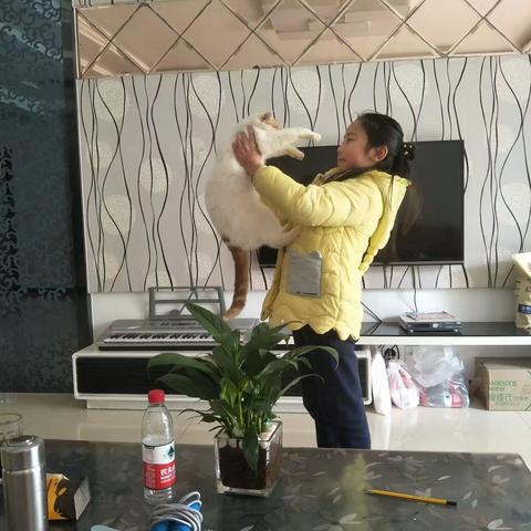 快乐寒假，“鼠”我精彩！