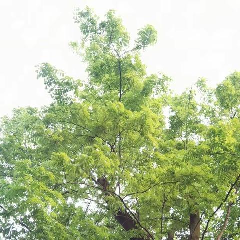 第三单元习作展示