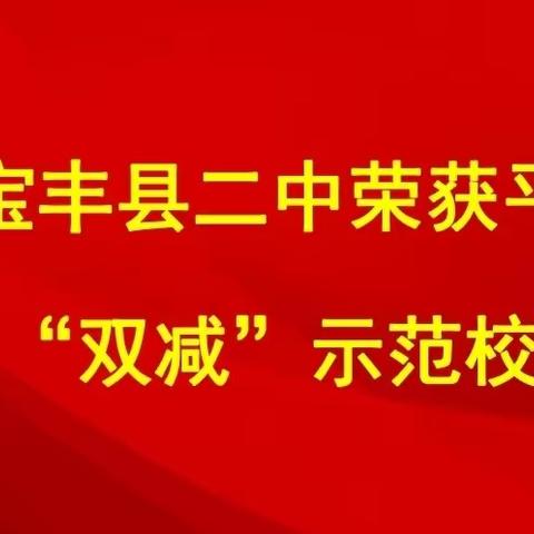 恭贺宝丰县二中荣获平顶山市“双减”示范校