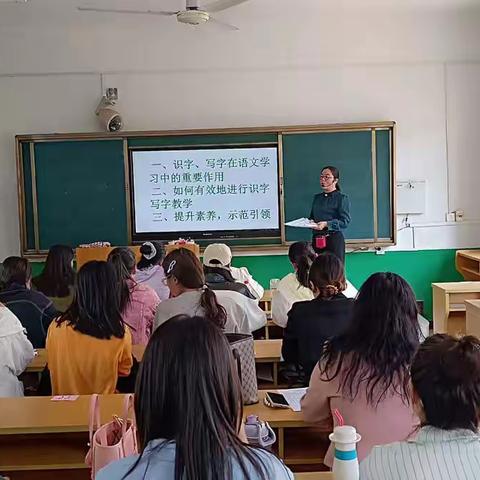 方城县新入职小学语文教师素养提升培训第二天——微专题分享