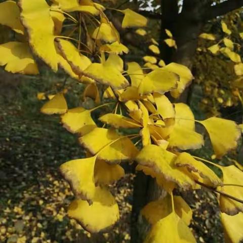 草节湾 龙丛源古道