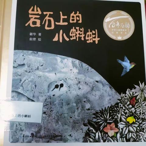 湘乡市东山中心幼儿园大二班刘老师讲故事《岩石上的小蝌蚪》