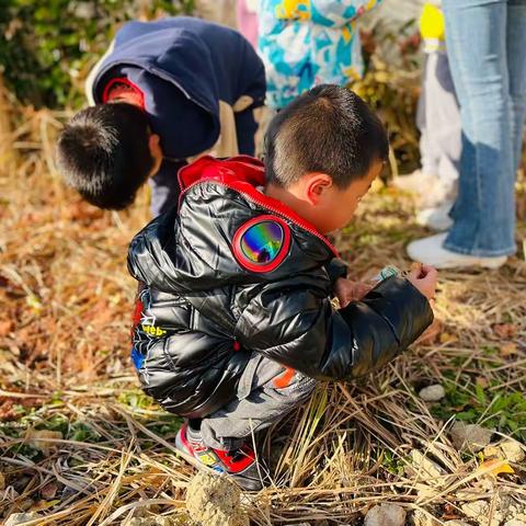 “嘘，树叶🍂有话说”——左安镇中心幼儿园树叶自然教育