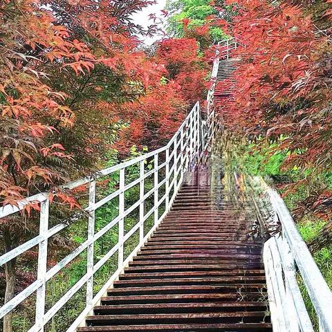 （满庭芳 . 柒月簏山忆）