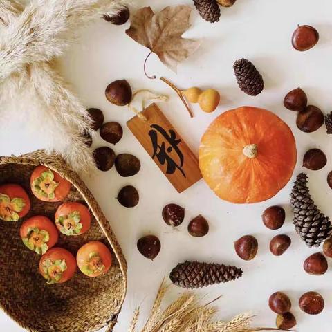 柿子变形记——城建分院中二班主题课程故事