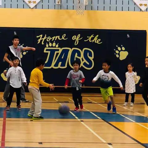 天天中文学校篮球兴趣班2018