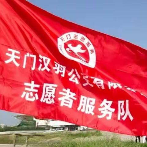 天门汉羽公交党支部开展“拔草护绿 美化环境”主题党日活动