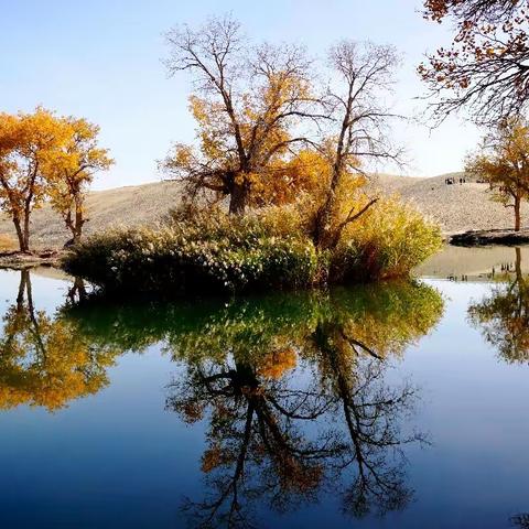 坐着火车去旅游之三 库尔勒