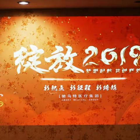 驰马特医疗集团2019年年会（京区）