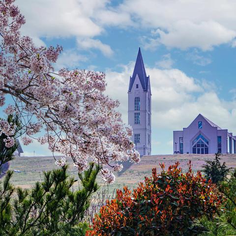 青岛藏马山景区一瞥