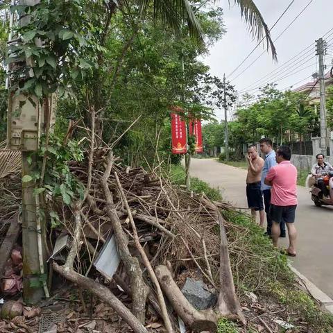 美定村:“夏季战役”正当时 环境整治齐参与