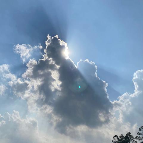 大湖小学2020精彩运动会