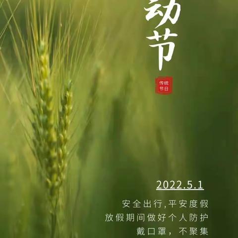 四月苦尽甘来，五月春风得意🍃