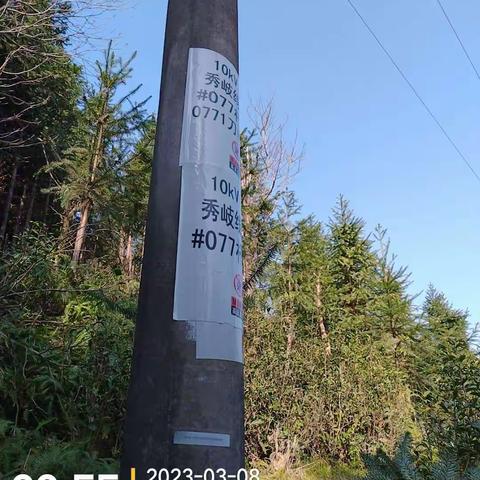 2023年3月8日社口所10kV秀岐线#077杆至#093杆线路巡视清障