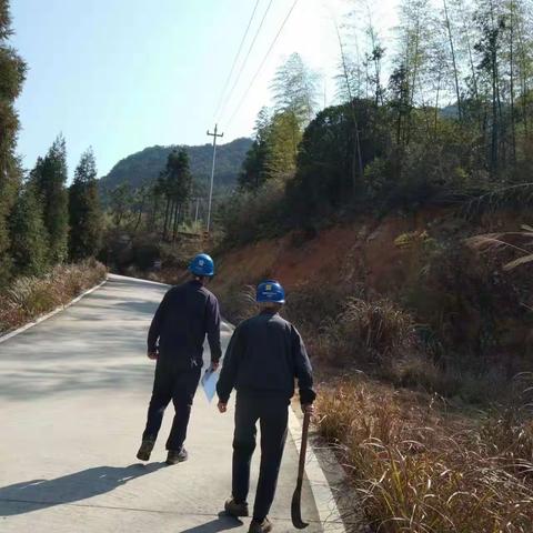 2023年3月8日社口所10kV首洋线#045杆至#083杆线路巡视清障