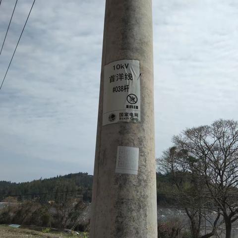 2023年3月13日社口所10kV首洋线线路巡视清障