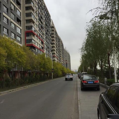 家门口的【望月路】河堤景观路—直达到【月牙岛生态公园】