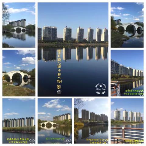 芳菲四月天/手机自拍🤳河流/桥梁/城市家园/倒影拼图图片分享2022-04-22/