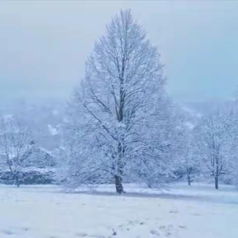 今天，是入冬后第三个节气——大雪。