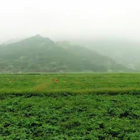 江田“校地共建”，打造利丰研学基地