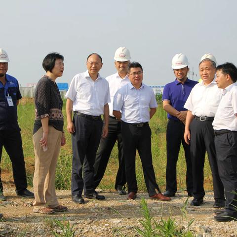 国家铁路集团发改部领导一行到商合杭铁路13标巢湖北梁场调研复垦工作