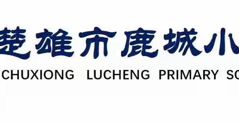 楚雄市鹿城小学云荫寺校区2020年秋季学期书法比赛活动