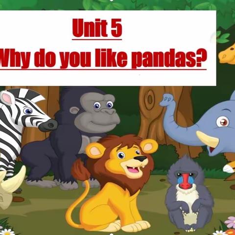 七下 Unit 5 Why do you like pandas?