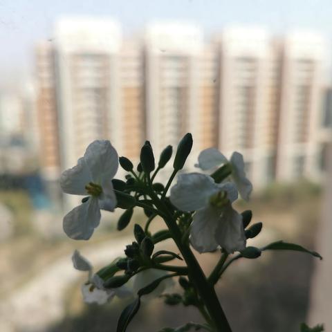 隔离