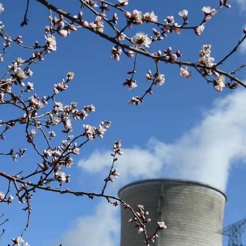 文明单位风采展 | 达拉特发电厂：春色宜人，“大修ing”